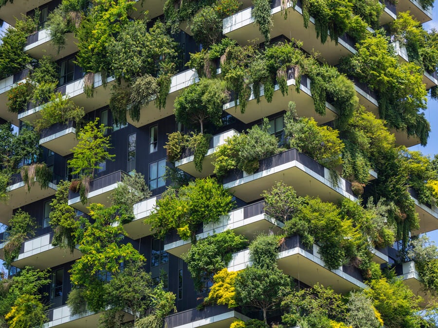 biophilic design