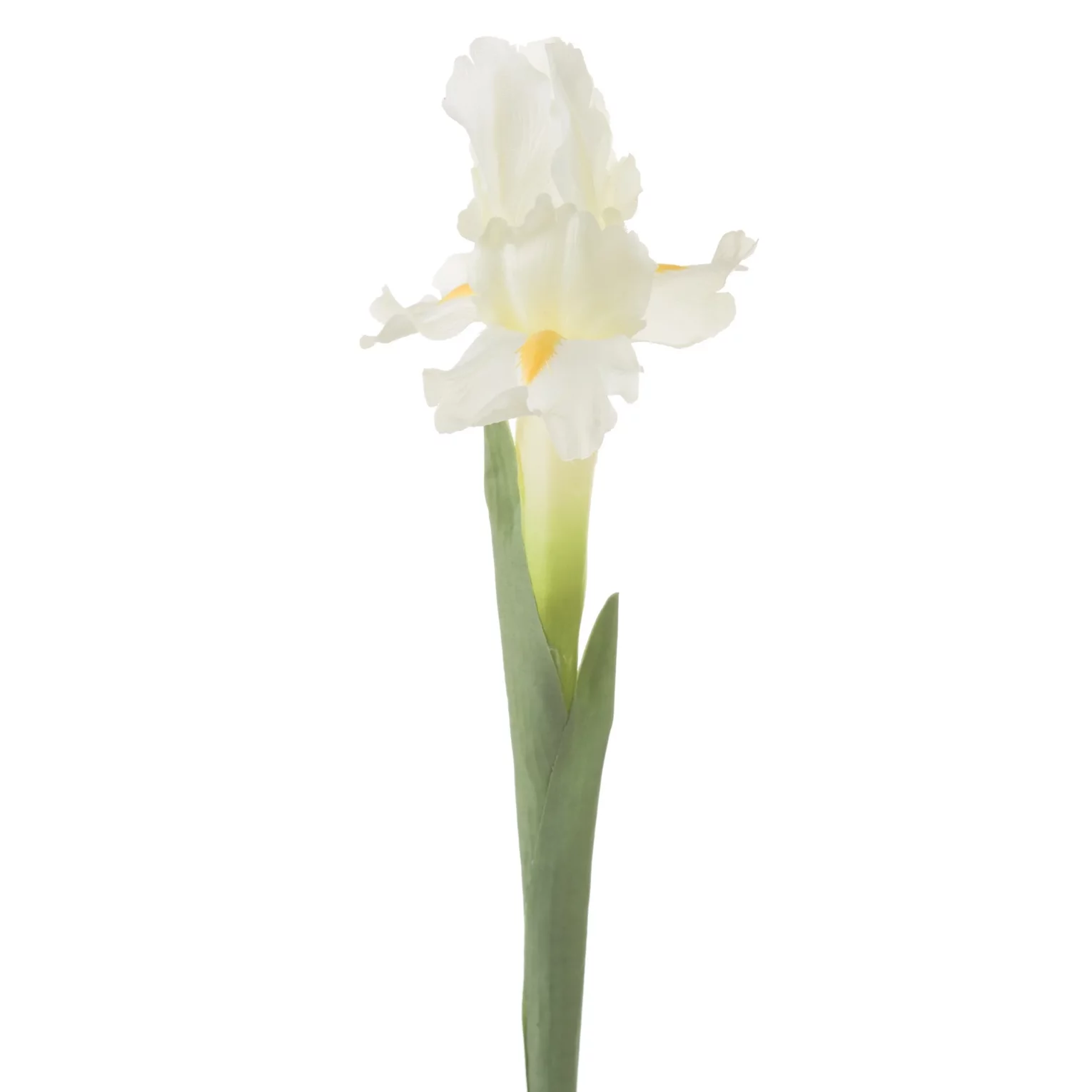 Kwiat sztuczny kremowy irys 70 cm